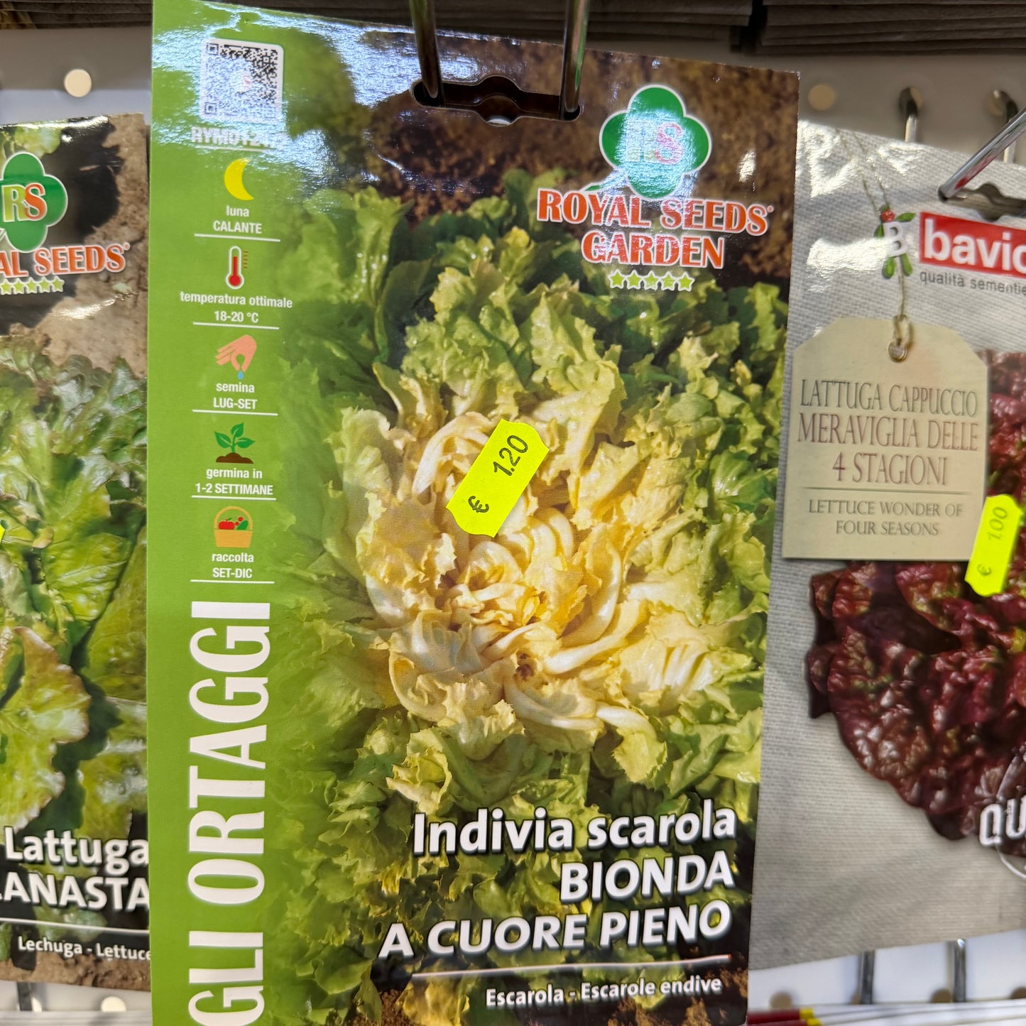 Lattuga-Scarola