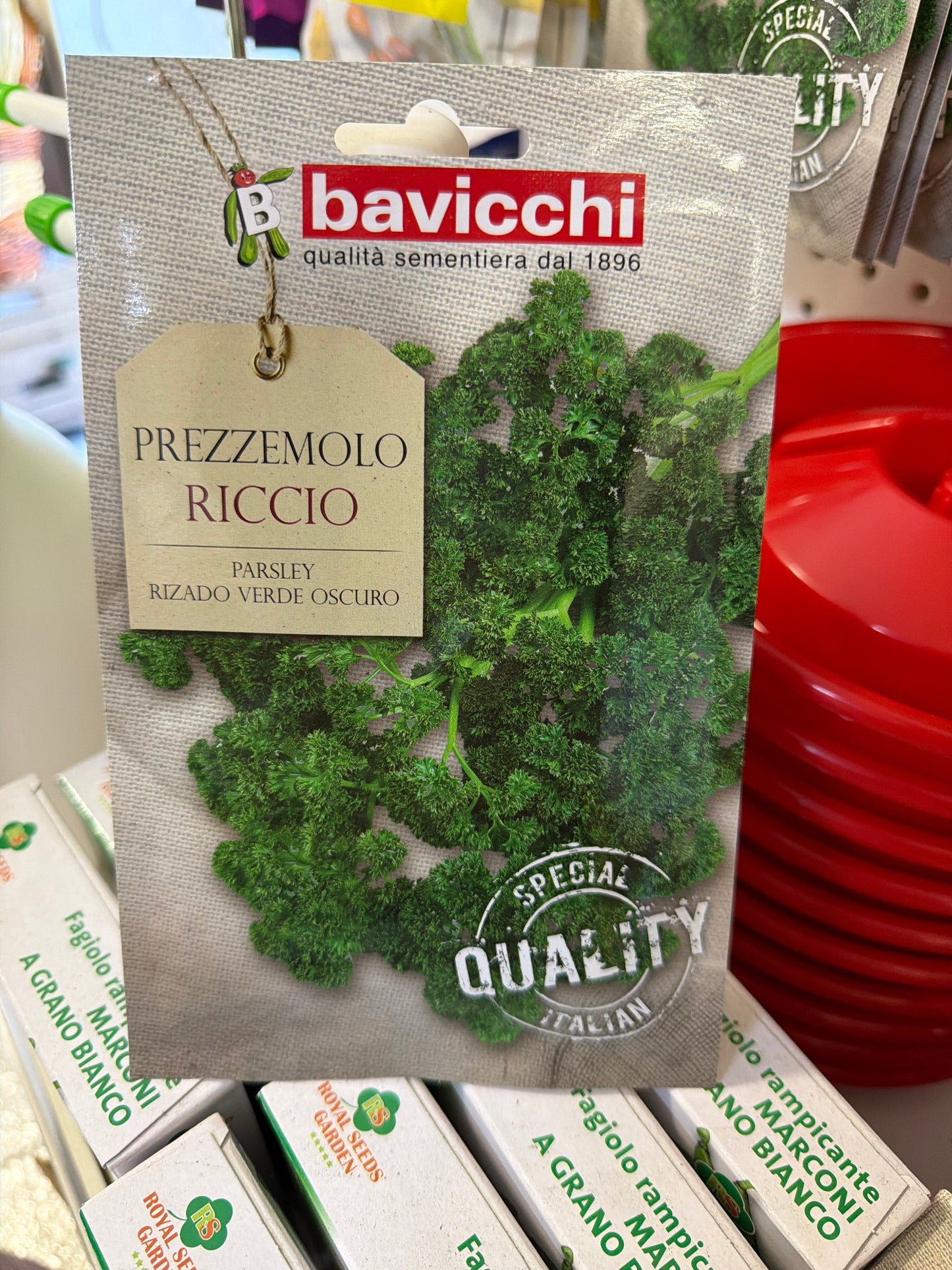 Prezzemolo