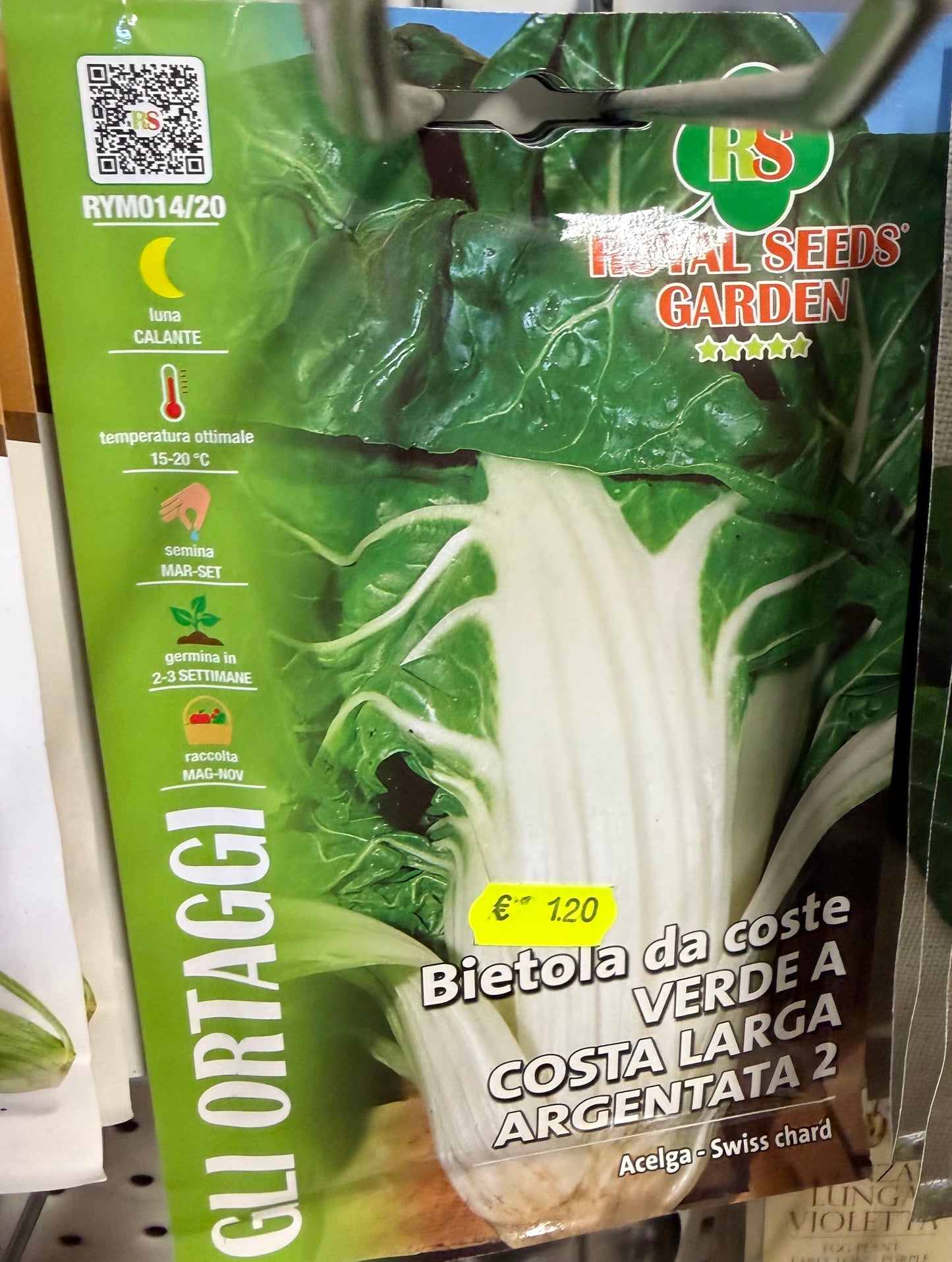 Bietola da coste verde a foglia larga