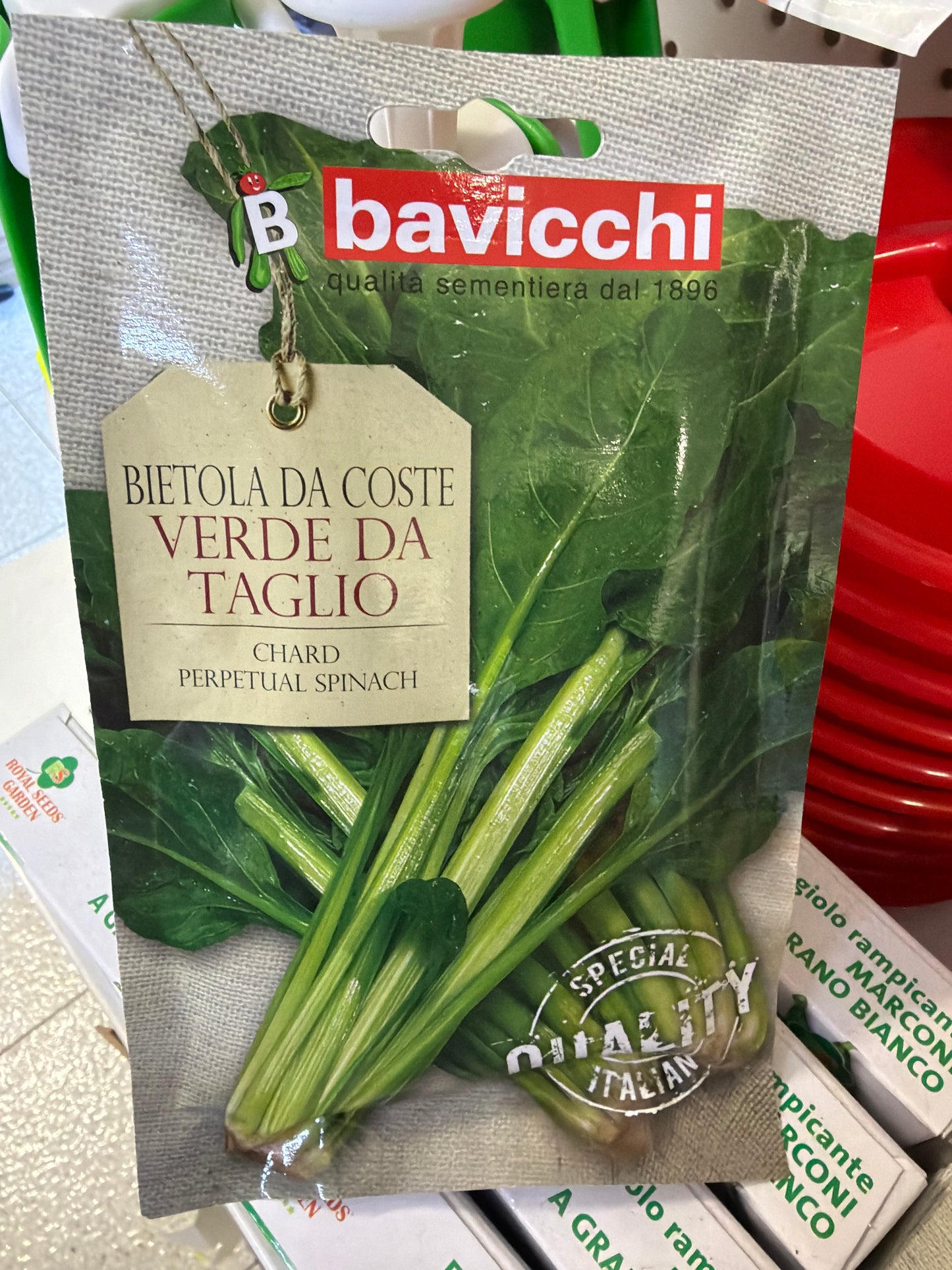 Bietola da coste verde da taglio