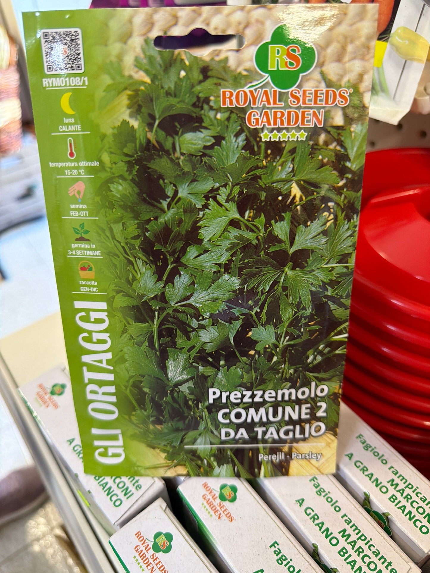 Prezzemolo