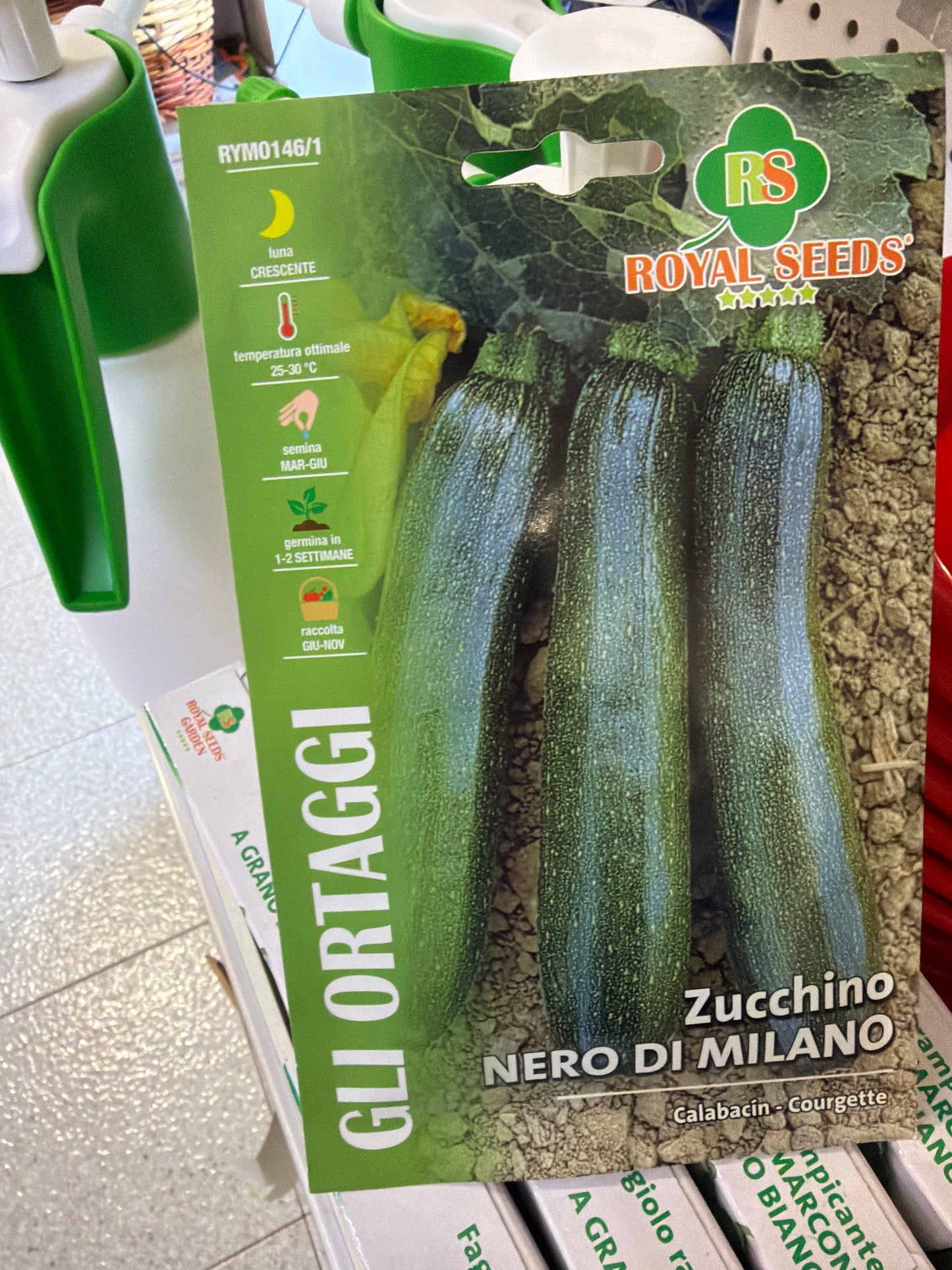 Zucchine