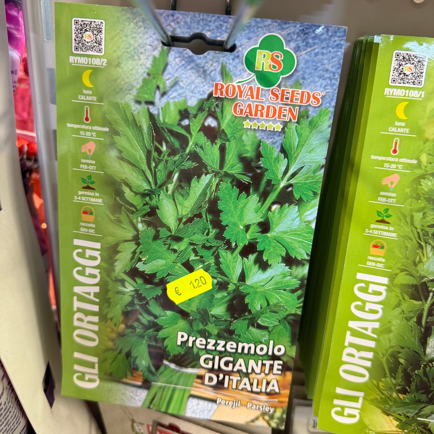 Prezzemolo