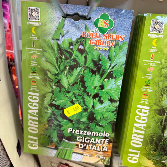 Prezzemolo