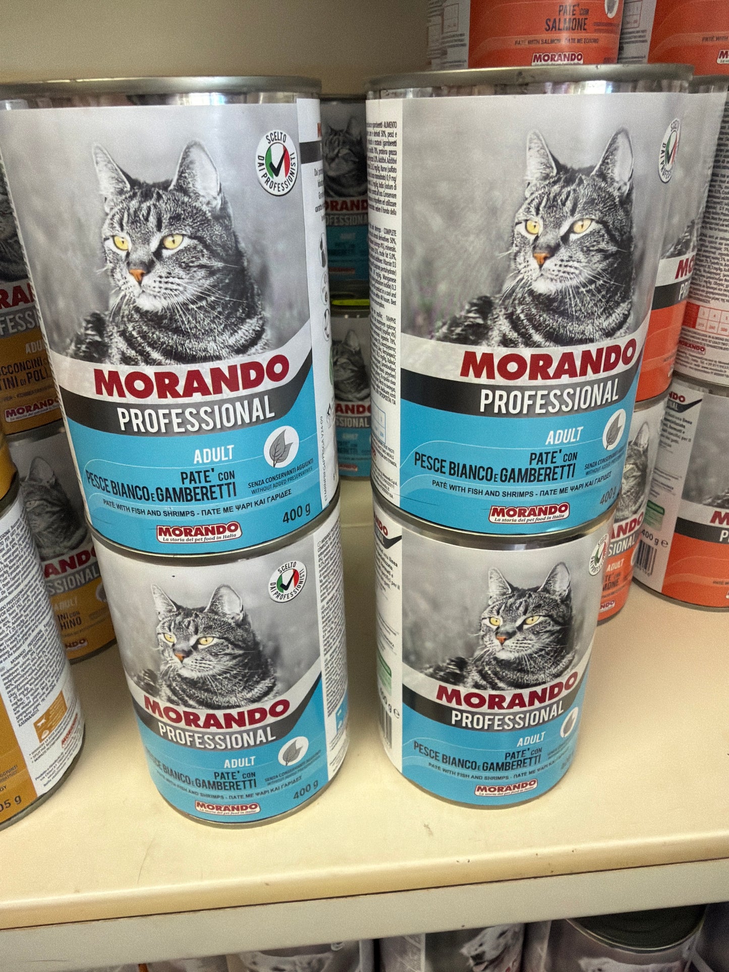 Bocconi gatto morando