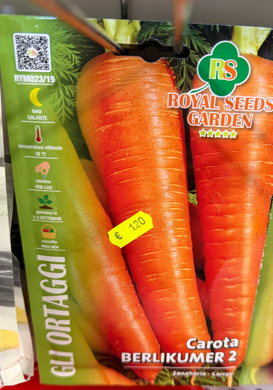 Carota Nantese