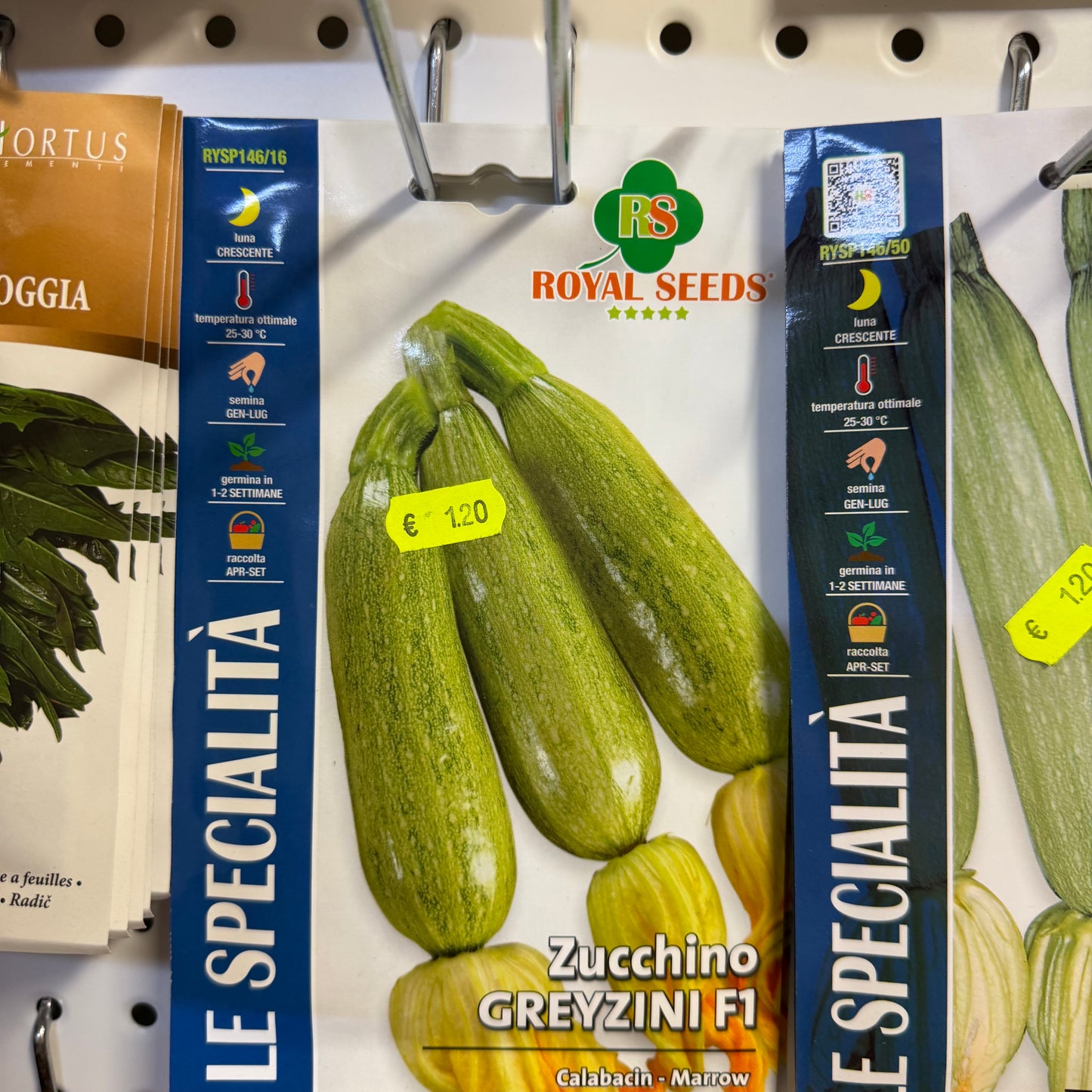 Zucchine