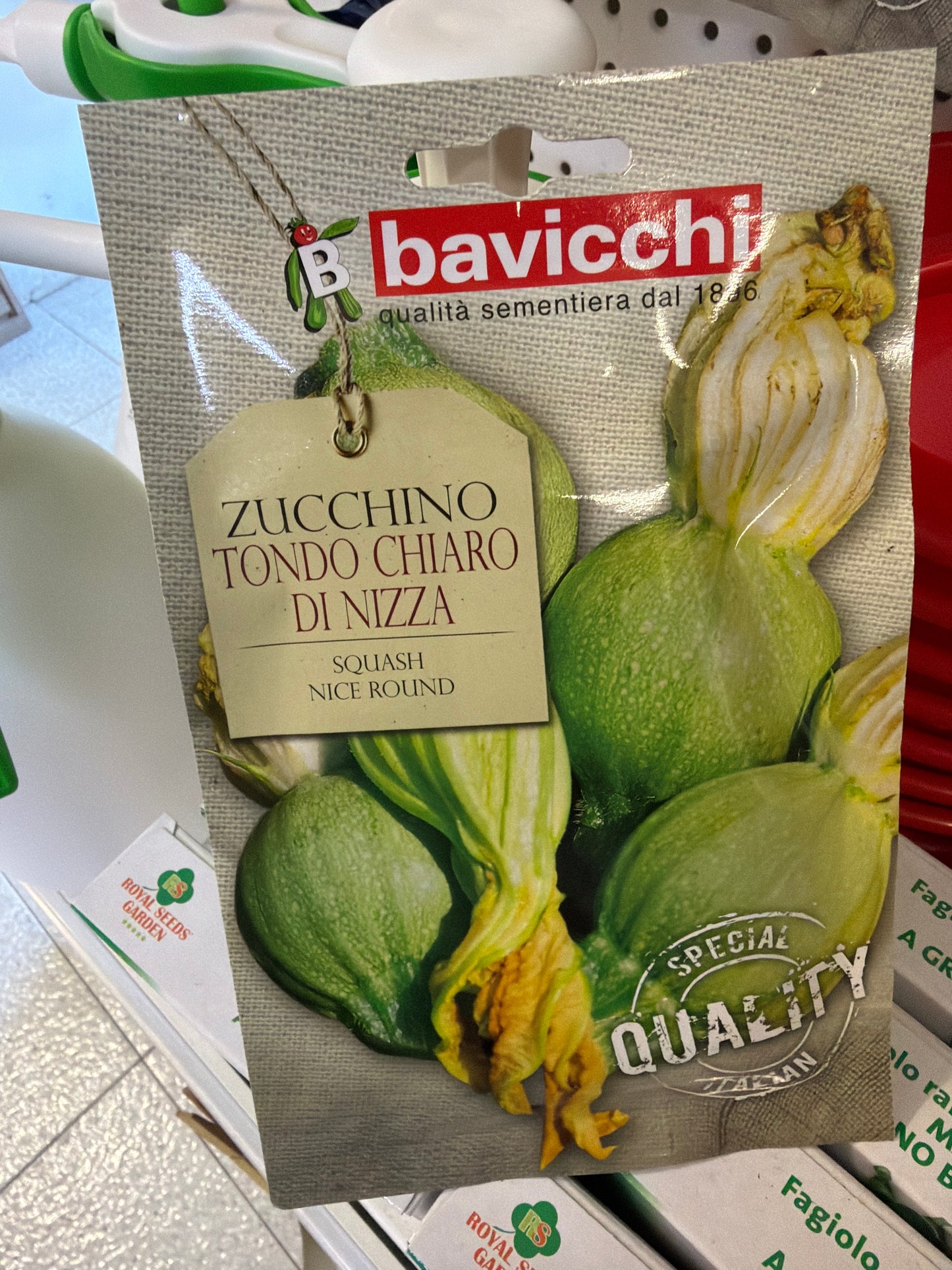 Zucchine