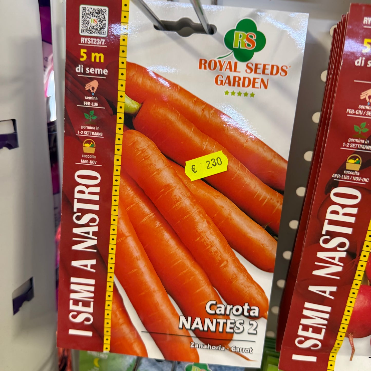 Carota Nantese