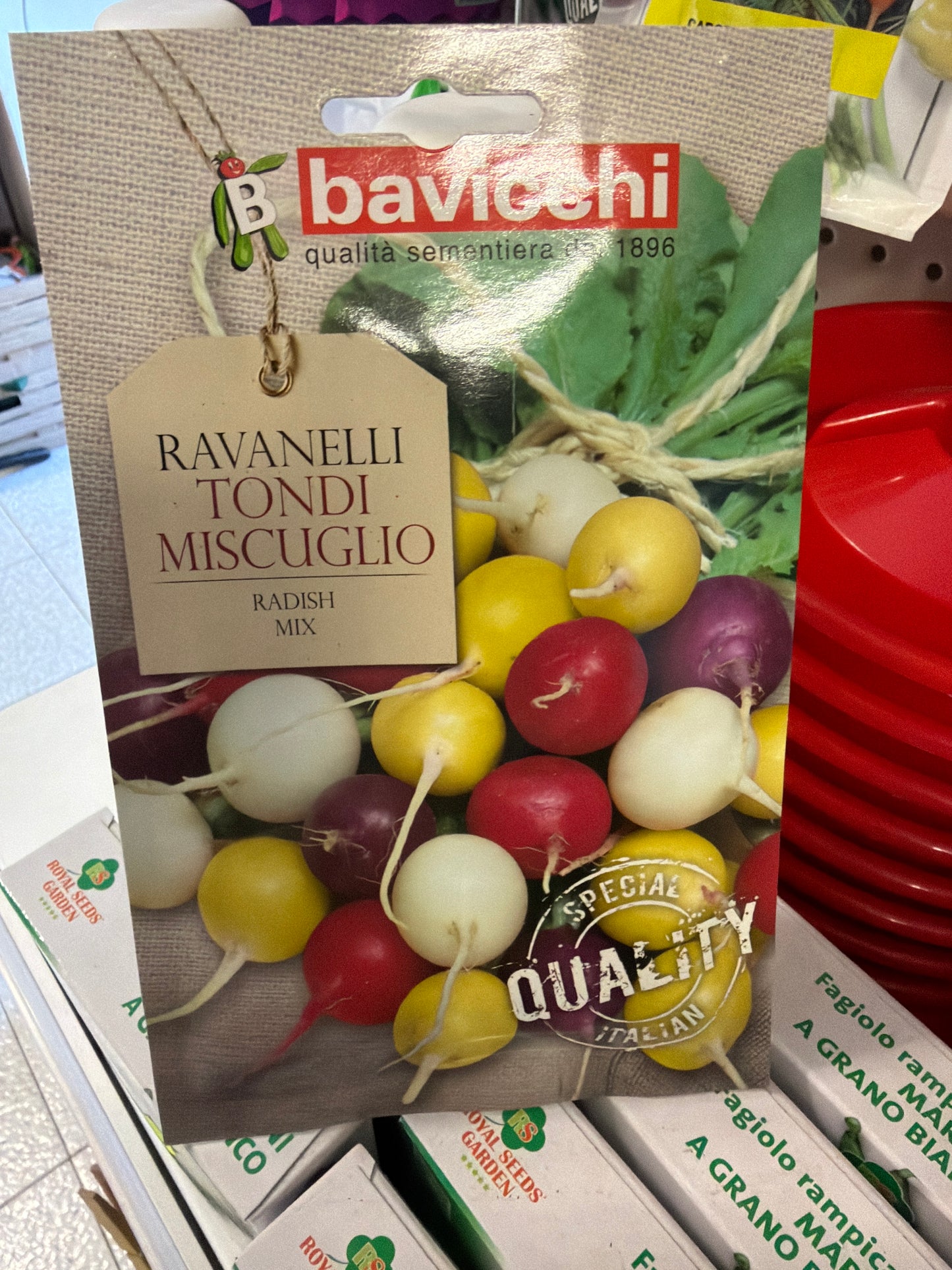 Ravanello rosso