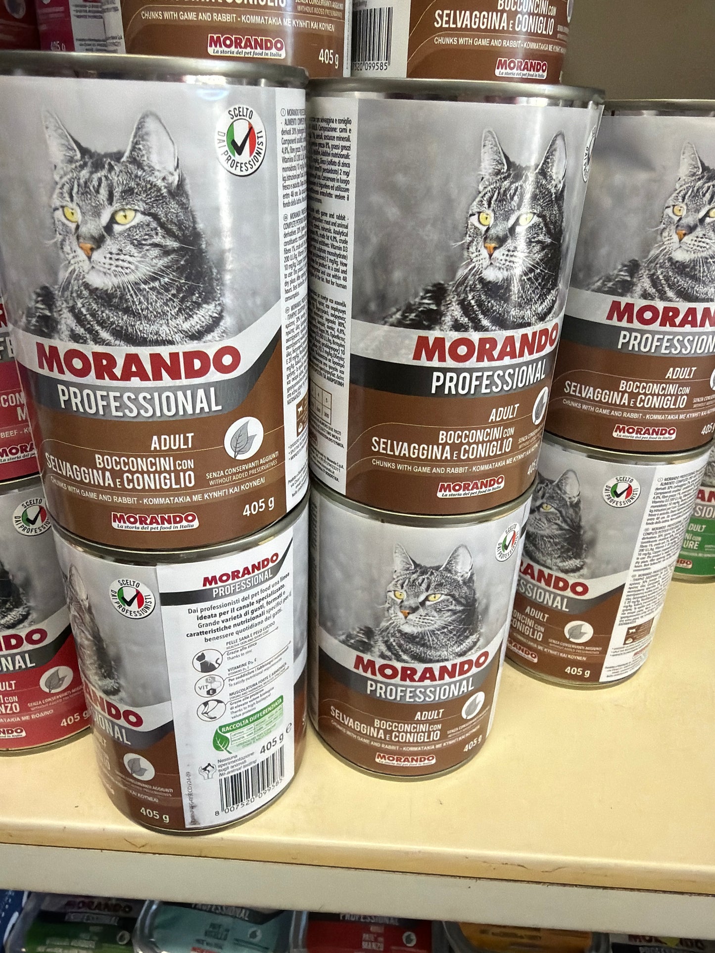 Bocconi gatto morando