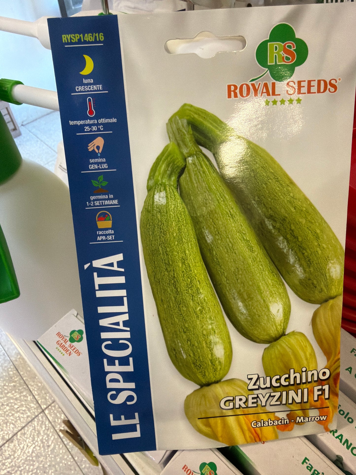 Zucchine