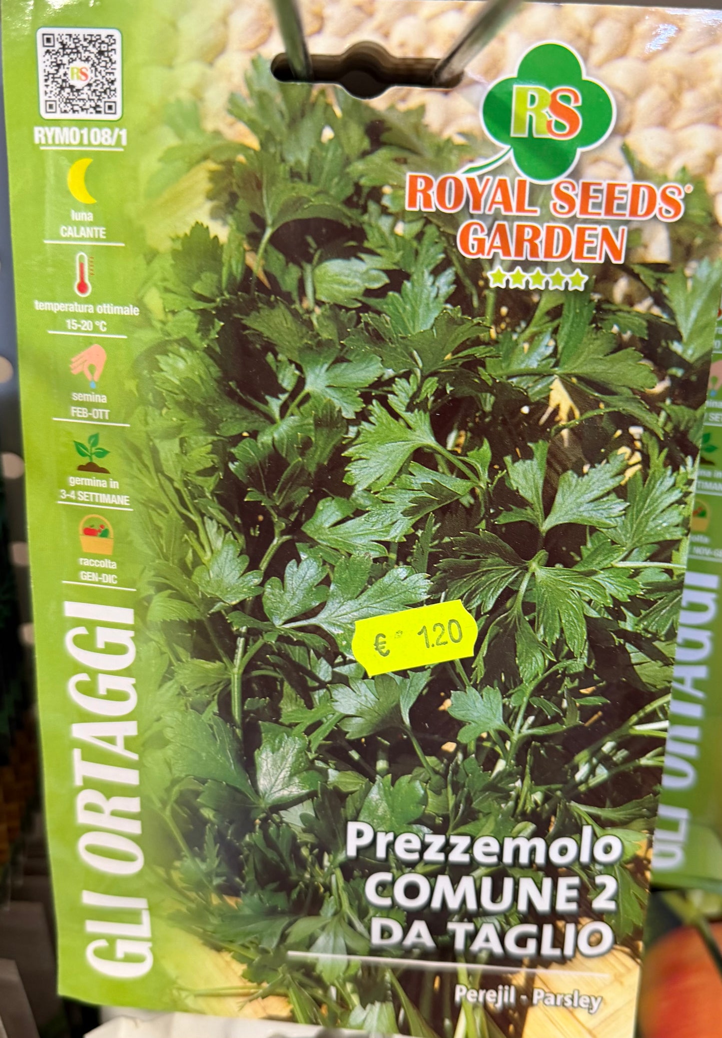 Prezzemolo