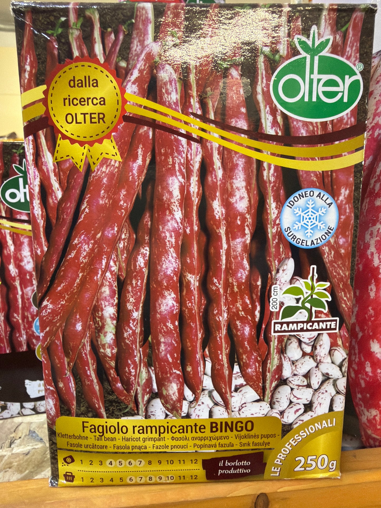 Fagiolo rampicante Bingo 250g