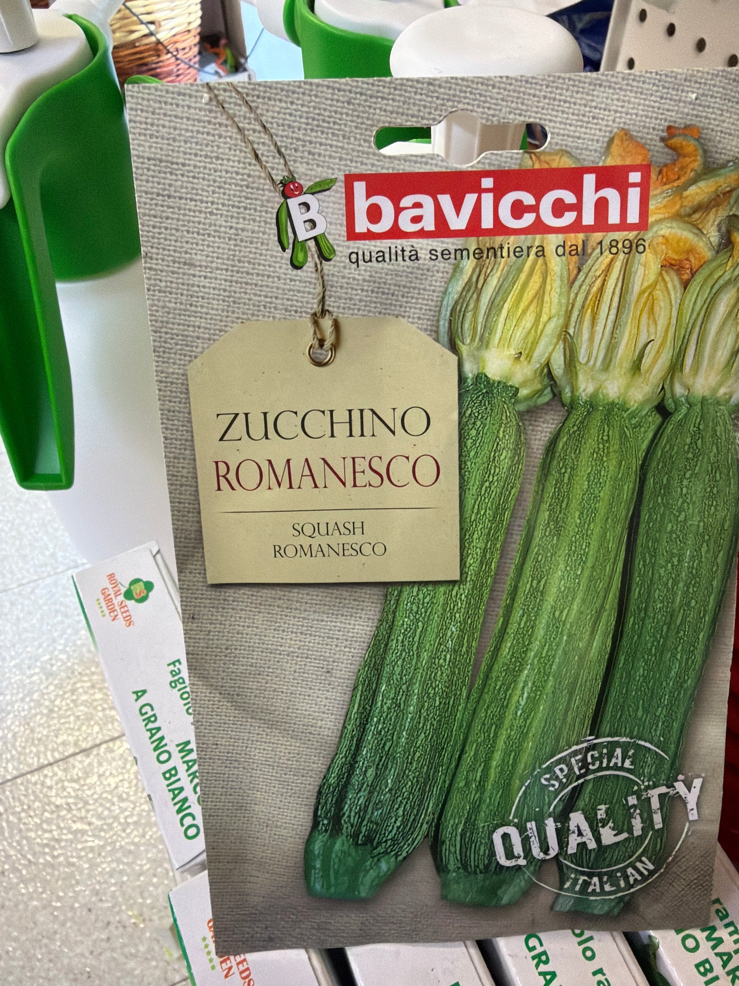 Zucchine