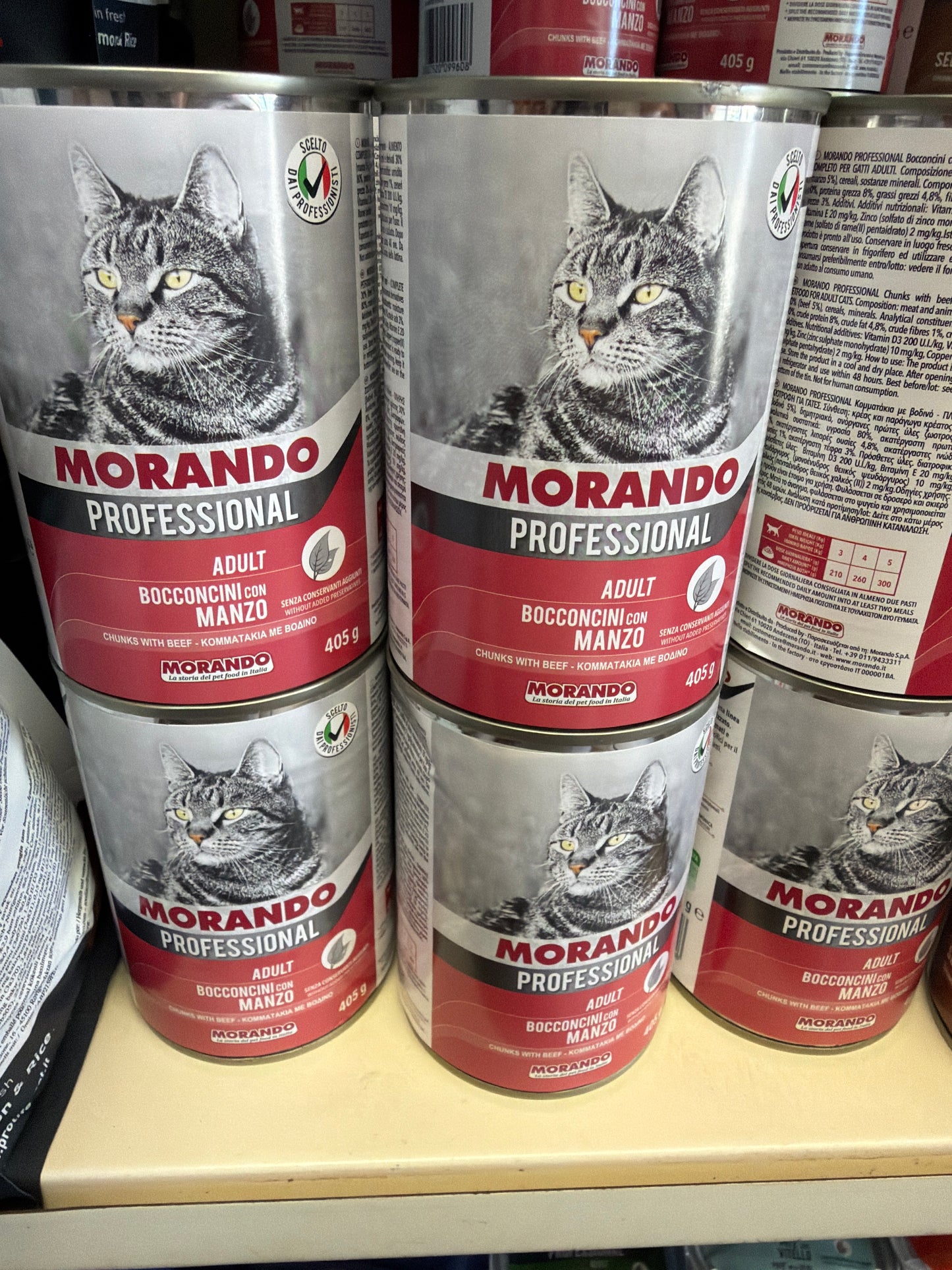 Bocconi gatto morando