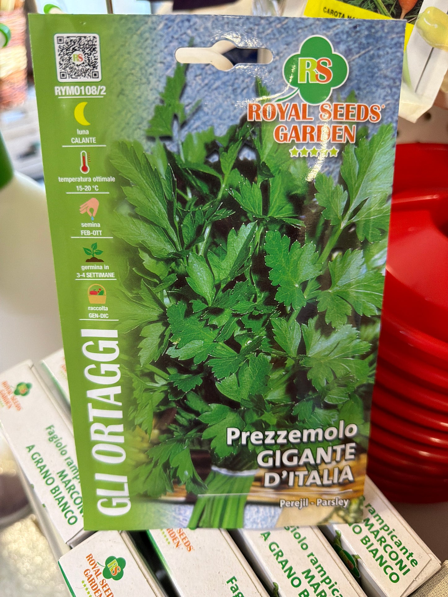 Prezzemolo