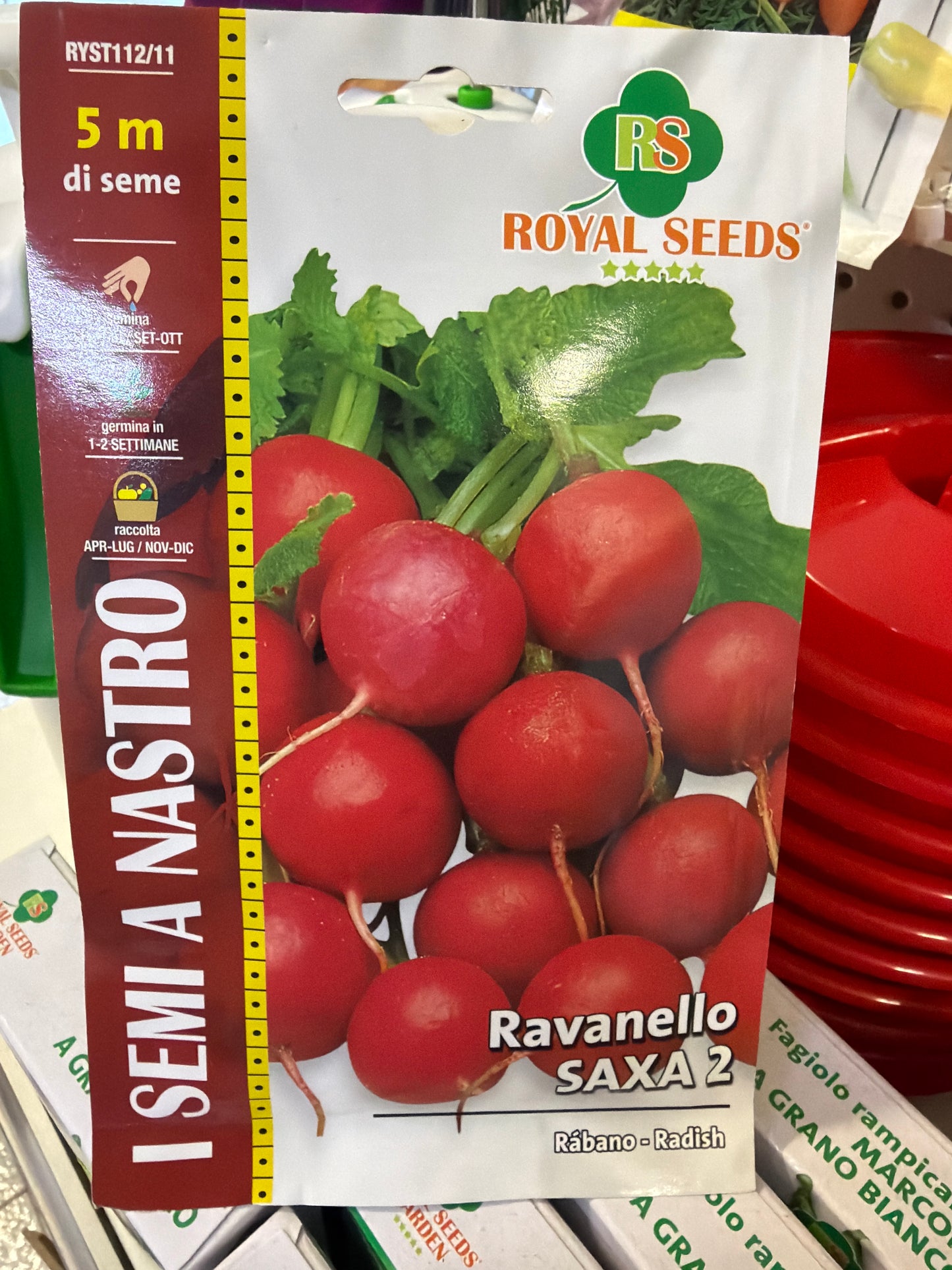 Ravanello rosso