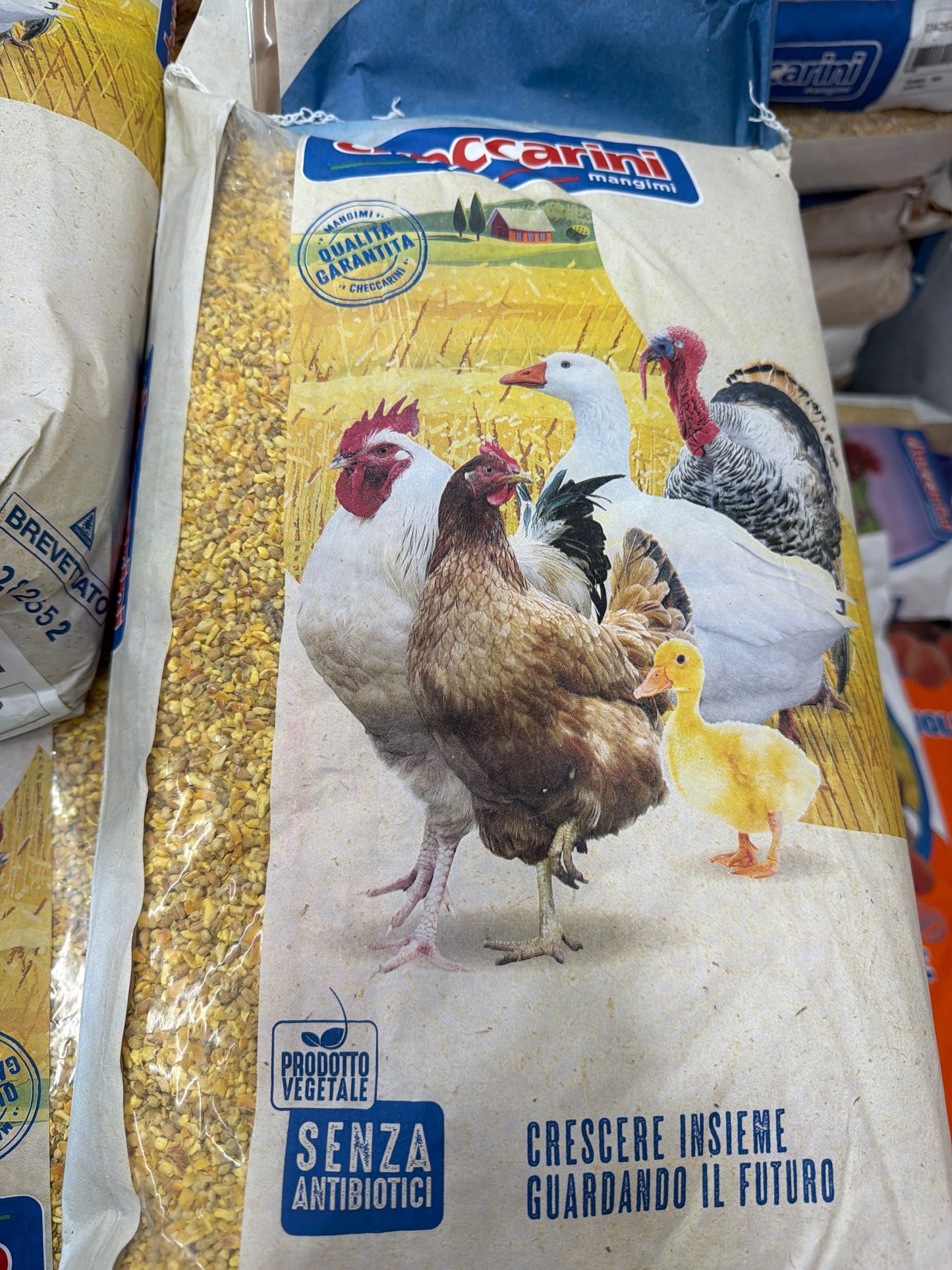 Mangime misto per galline