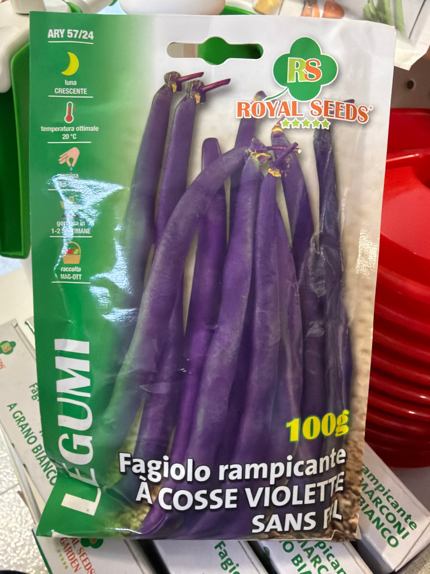 Fagiolo