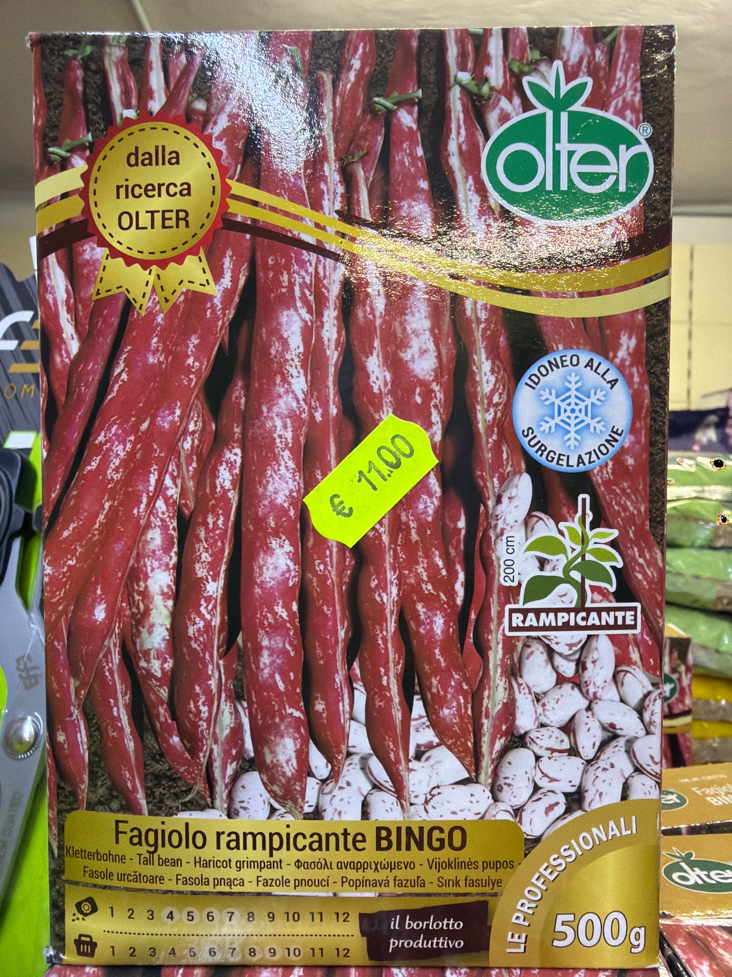 Fagiolo rampicante Bingo 250g