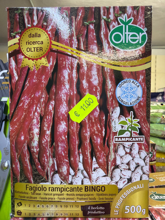 Fagiolo rampicante Bingo 250g