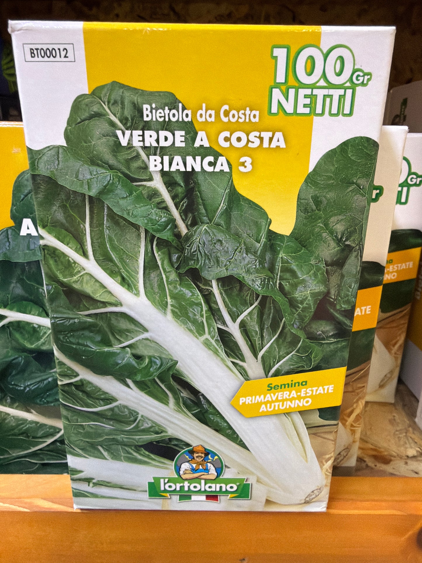 Bietola da costa