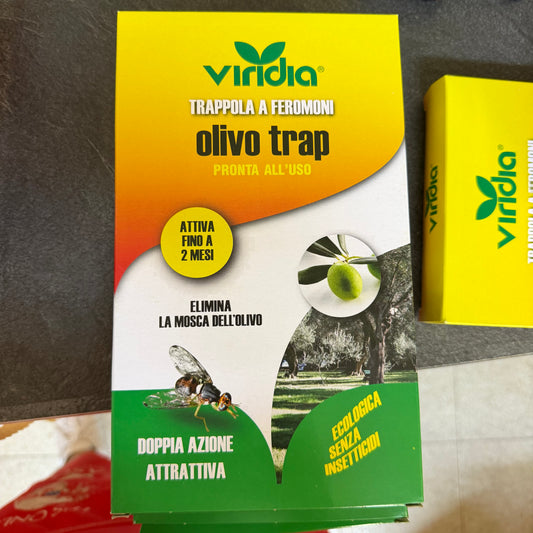 Trappola per mosca dell'olivo