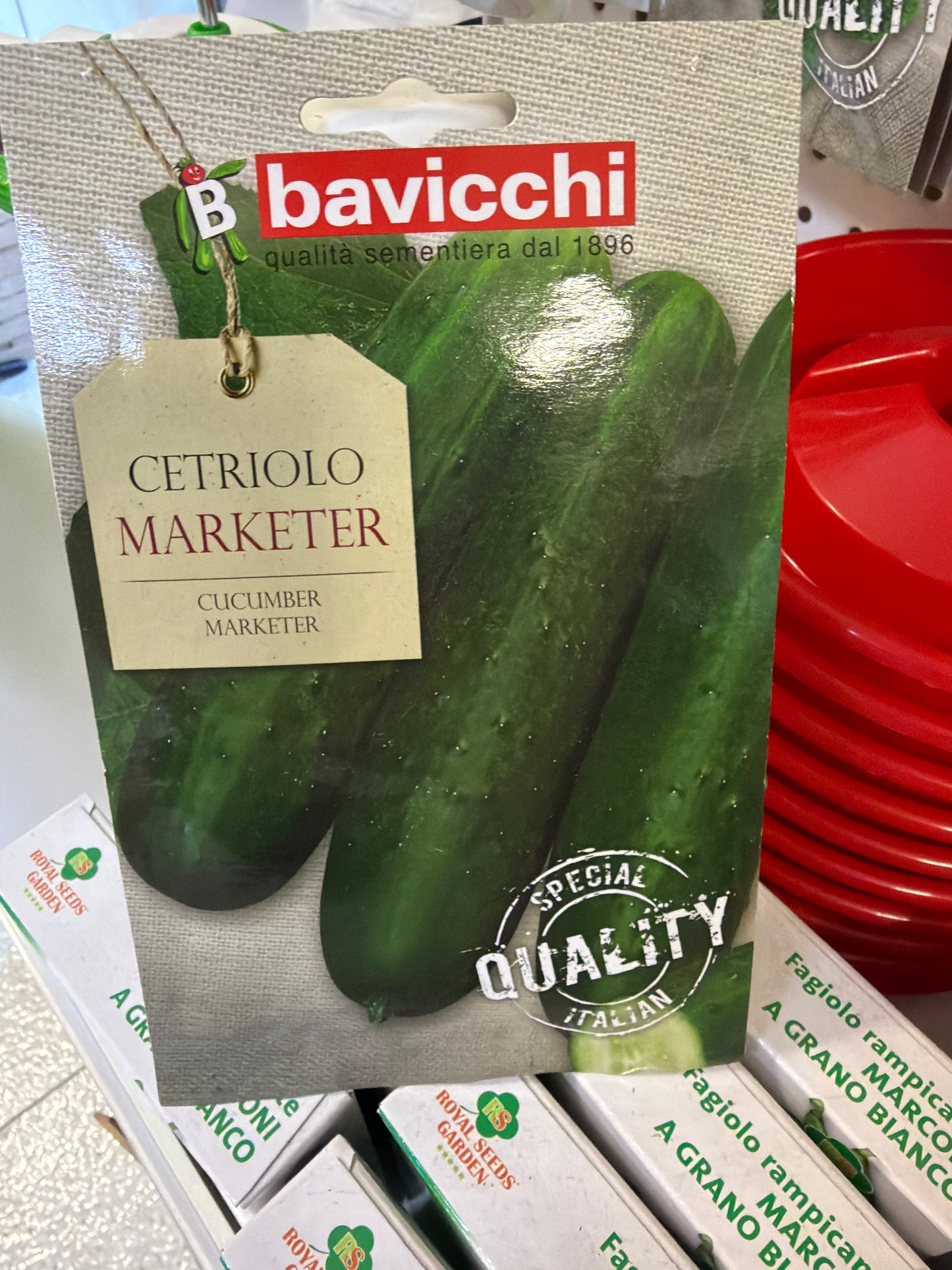 Cetriolo Marketer