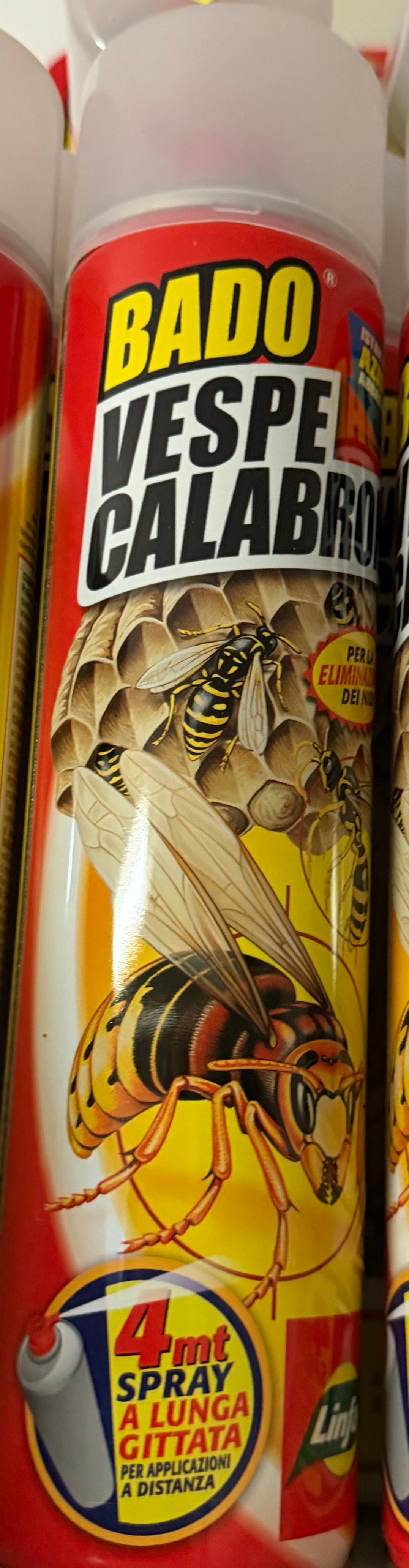 Insetticida vespe e calabroni