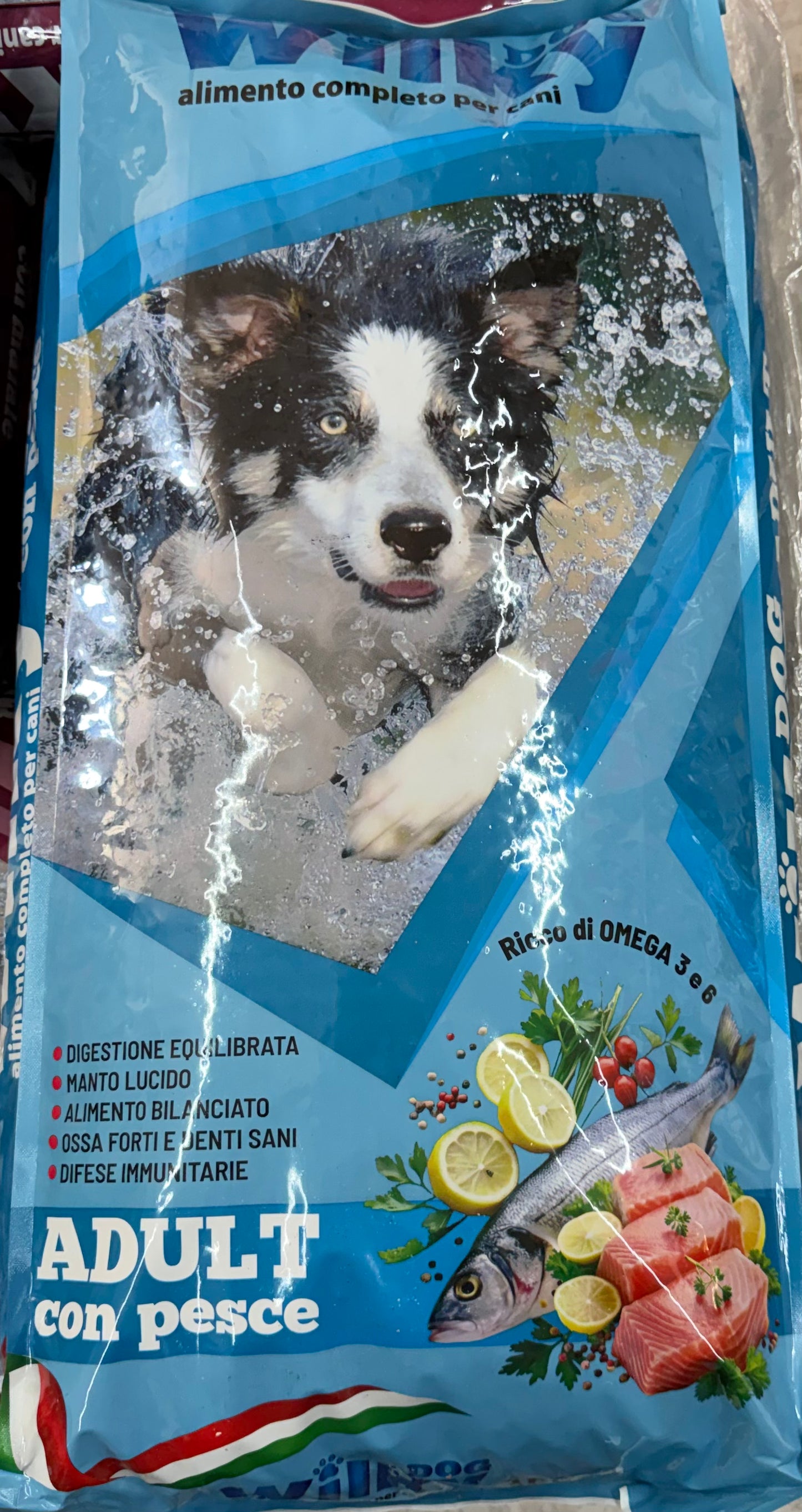 Wilky dog pesce